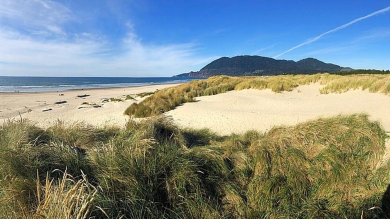 Manzanita Beach, from Nehalem Bay State Park