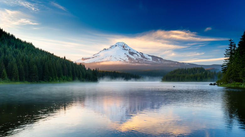 A snow-capped mountain in Oregon rises above forests