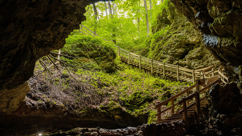 Stairs leading into cave at Maquoketa Caves State Park in Iowa