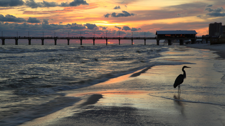 The shores of Orange Beach, Alabama at sunset