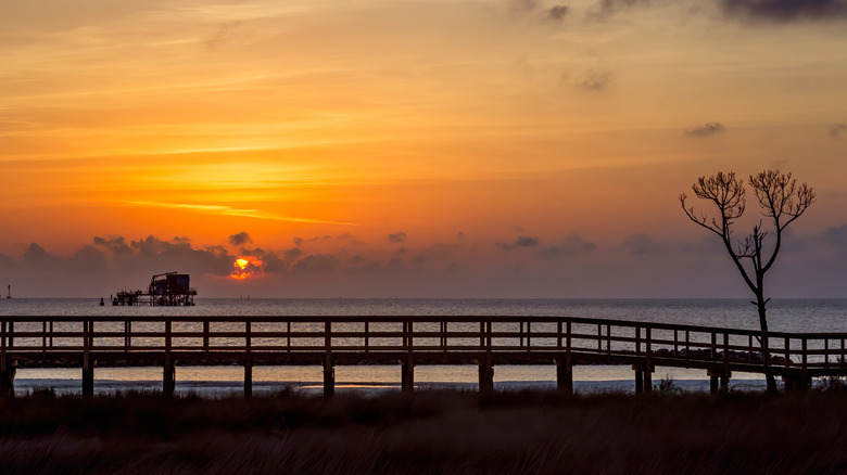 The shoreline of Dauphin Island with a boardwalk in front of it