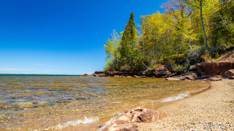 Small stony beach with clear waters and an outcropping of pine and leafy trees