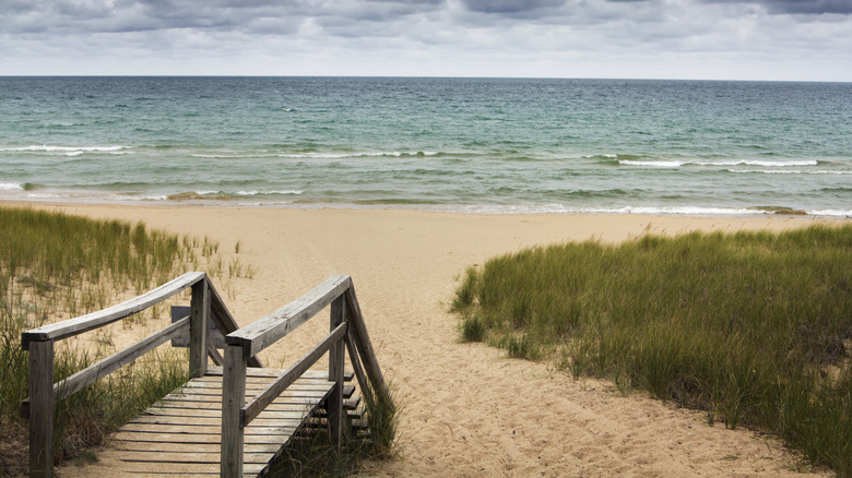 Wooden boardwalk entrance to sandy beach with grassy dunes on either side