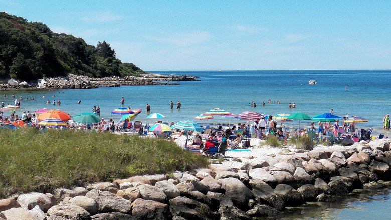 Busy beach day at Old Silver Beach in Falmouth, Massachusetts on Cape Cod, colorful beach umbrellas over crowds