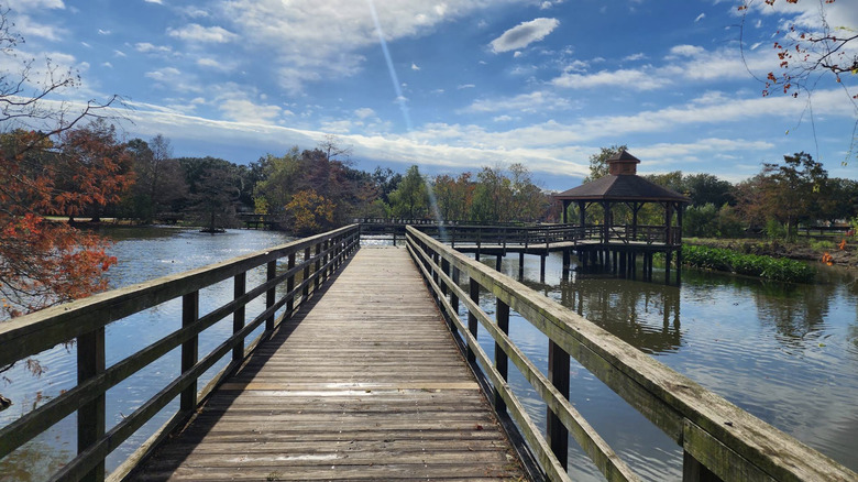The wooden boardwalk over a body of water on a bright autumn day in Marsh Island, a bird sanctuary within Lafreniere Park in Metairie, LA