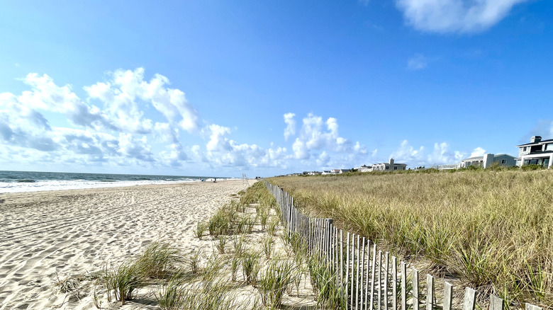 storm fence running along a dune in South Bethany Beach Delaware