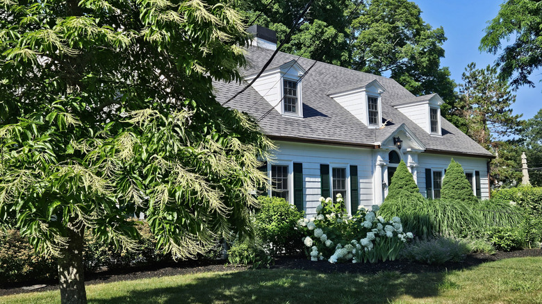 Exterior of Wenham Tea House surrounded by foliage in Massachusetts