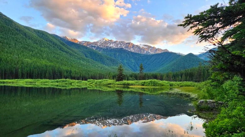 Trees and mountains reflected in water, Flathead National Forest, Montana