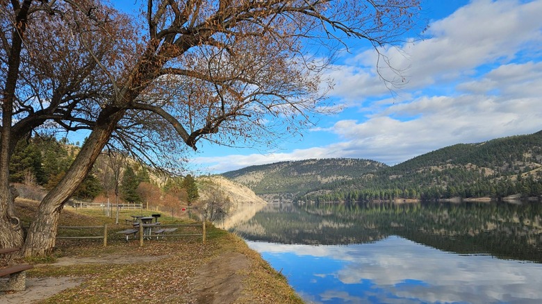 Picnic tables and tree next to lake with mountains and sky reflected in it