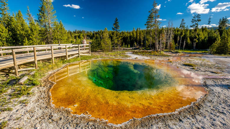 orange, yellow, and green thermal pool next to a viewing deck, trees and sky in the background