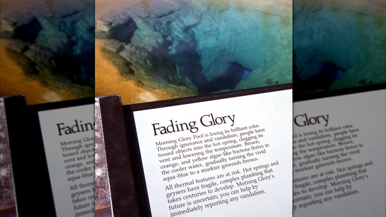 educational sign explaining "Fading Glory" in front of a blue hot spring pool