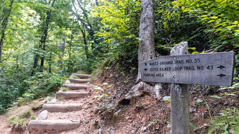 A simple wooden trail sign points to different trails in a green forest
