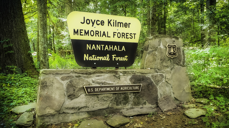 Joyce Kilmer Memorial Forest and Nantahala National Forest sign on stone base in a green forest