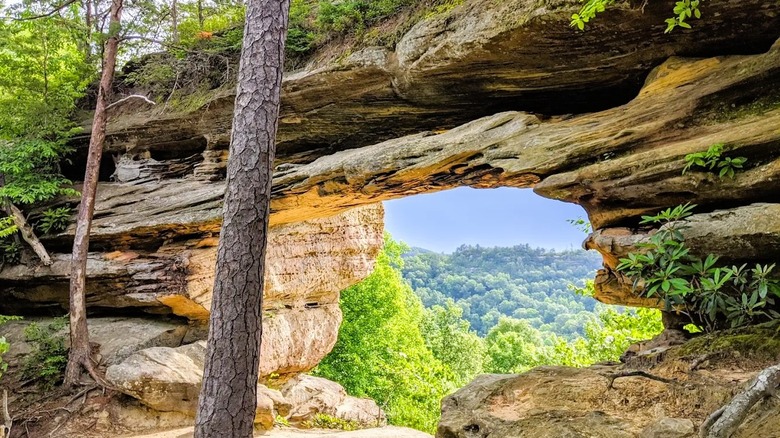 A natural sandstone arch with a large opening along a hiking trail inside Daniel Boone National Forest in KY