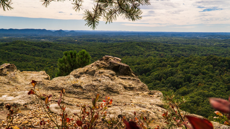 Views from a rocky overlook inside Daniel Boone National Forest in Kentucky, featuring lush greenery.