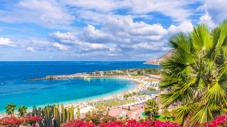 Anadores Beach, Gran Canaria, Canary Islands, Spain