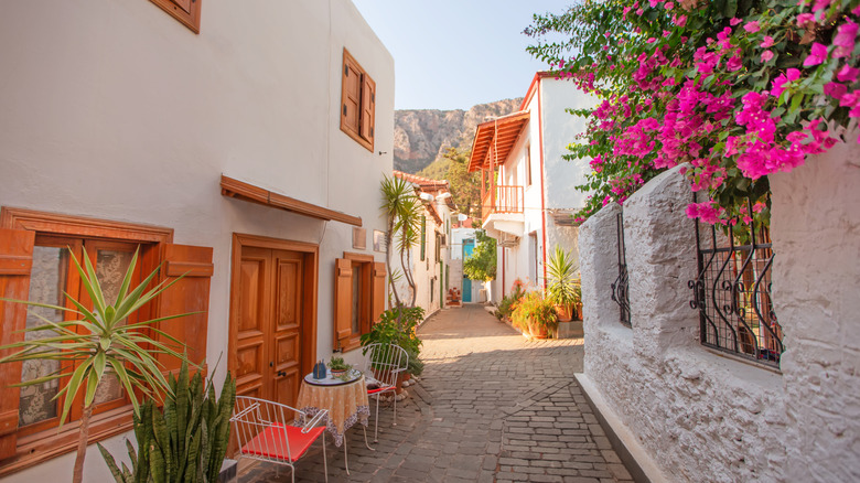 Narrow street in the city of Kas, Turkey, with fuschia flowers