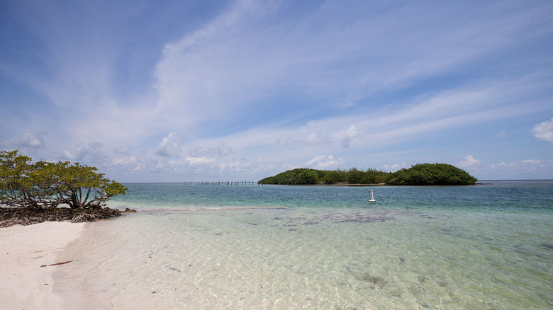 Blue skies and blue ocean water with a sandy beach at Boca Chica Key, Florida