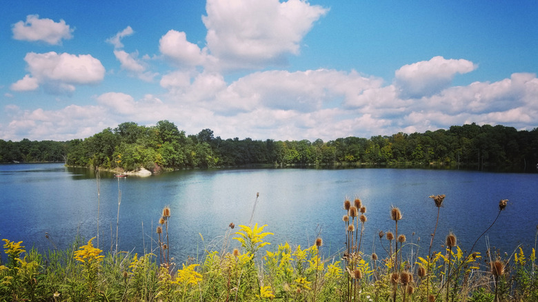 View of the lake and surrounding greenery at Caesar Creek State Park in Ohio