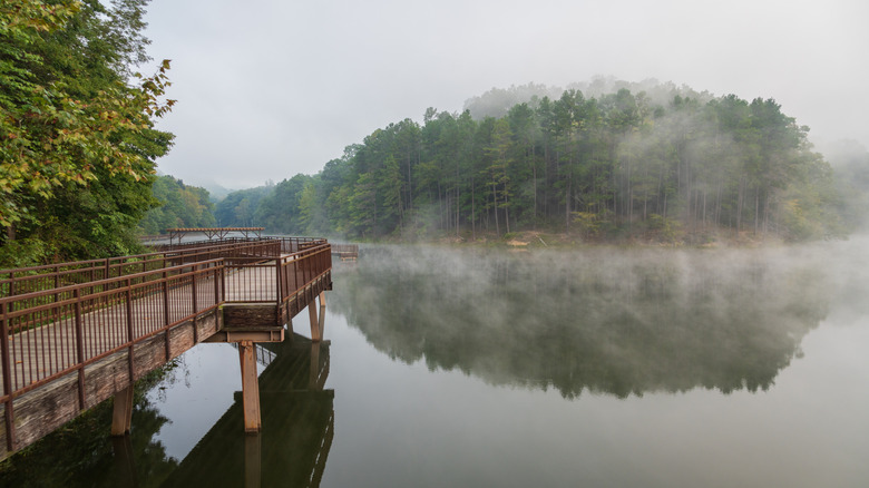 Fog at Lake Vesuvius Recreation Area at Wayne National Forest in Ohio