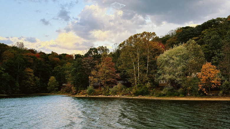 Salt Fork State Park lake near Cadiz, Ohio, in the autumn