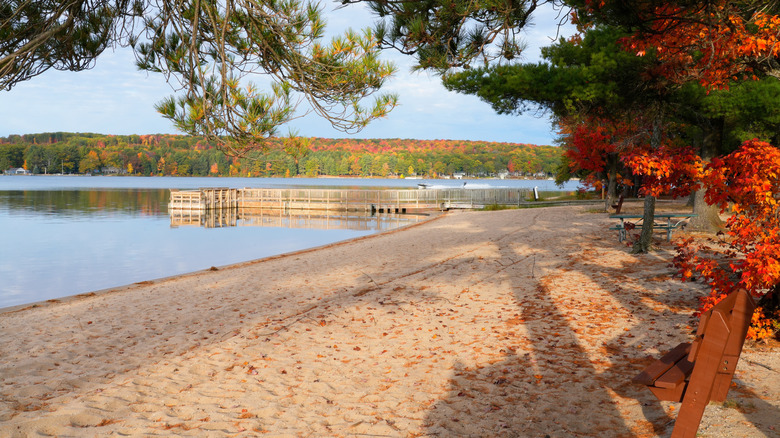 The sandy beach area at Otsego Lake State Park in Michigan with fall foliage