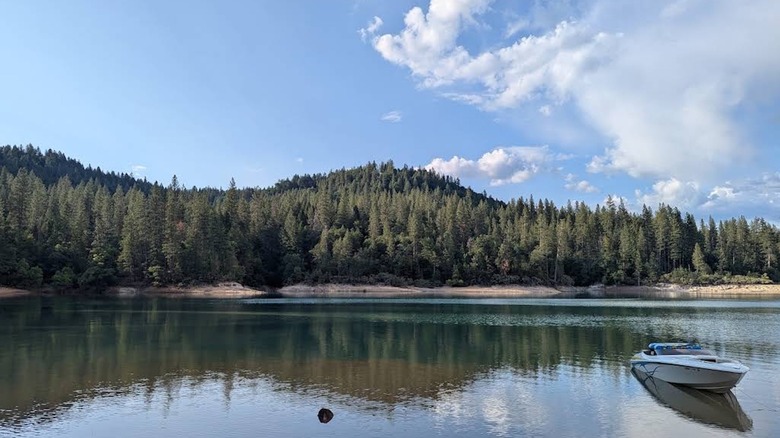 A boat floating atop Scotts Flat Lake in the Sierra Nevadas