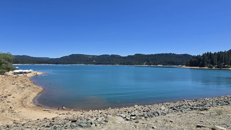 An aerial view of the blue waters at Scotts Flat Lake