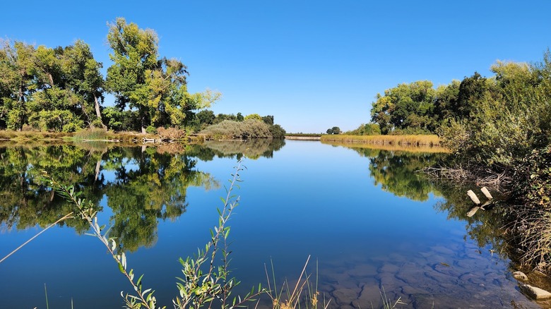 Lodi Lake, California