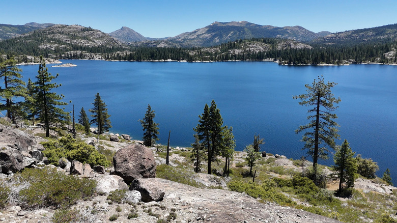 Lake Spaulding in California with tall pines along the rocky shoreline and rugged mountains in the distance