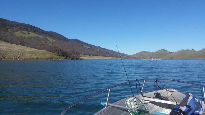 A small, electric fishing boat floats on Los Vaqueros Reservoir on a sunny day.
