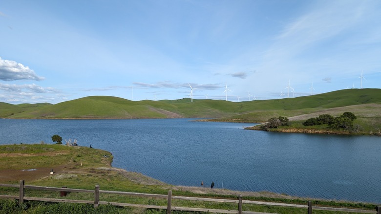 Anglers fish at Los Vaqueros Reservoir surrounded by green hills.