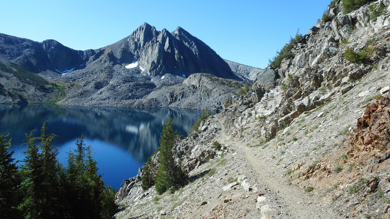 The narrow dirt trail leading into Duck Lake in the Mammoth Lakes basin, surrounded by rocks and evergreens.