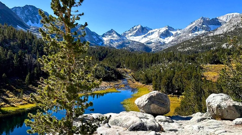 The green alpine trees line the shoreline from a vantage point above Mack Lake, with the eastern Sierra peaks in the distance.