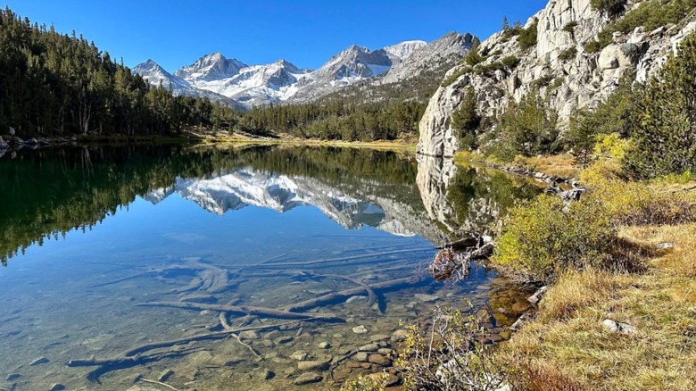 The eastern Sierra mountains reflect in Mack Lack, line with rocky cliffs on one side and a wooded canvas of trees on the other.