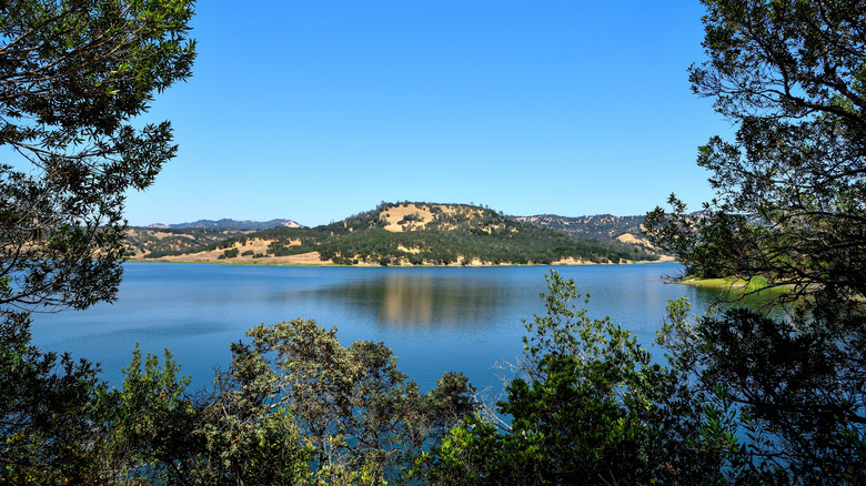 A view of Lake Hennessey and a large hill in between several trees.