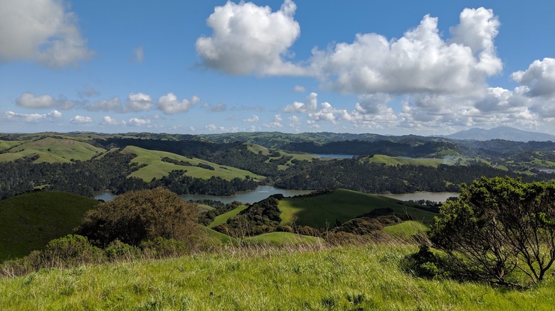 A wide shot of rolling green hills and lakes at Tilden Regional Park in Berkeley, California, beneath a cloudy blue sky.