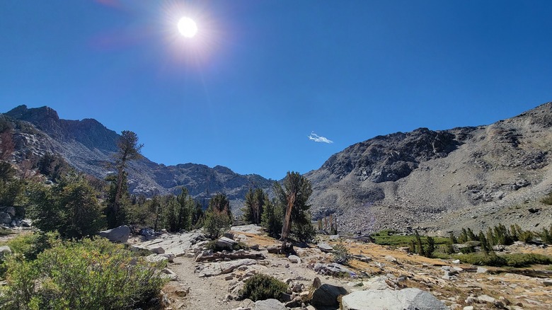 A rocky trail with subalpine trees throughout, lots of large boulders, and huge jagged mountains in the background
