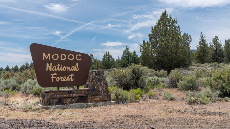 Sign for Modoc Natonal Forest