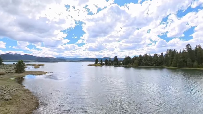 Lake Davis from a drone with pine trees, beach, and low hills in background with white puffy clouds overhead