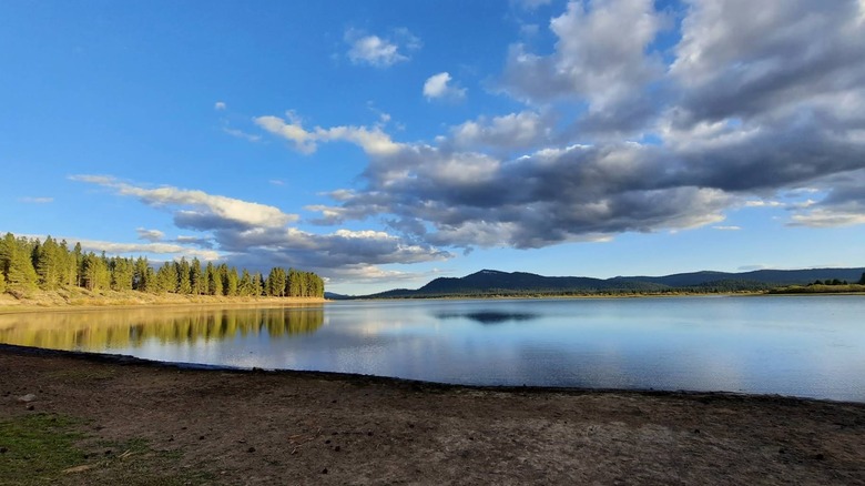 Shoreline photo of Lake Davis, California, with clouds and blue sky reflected overhead and pine tres along the shoreline