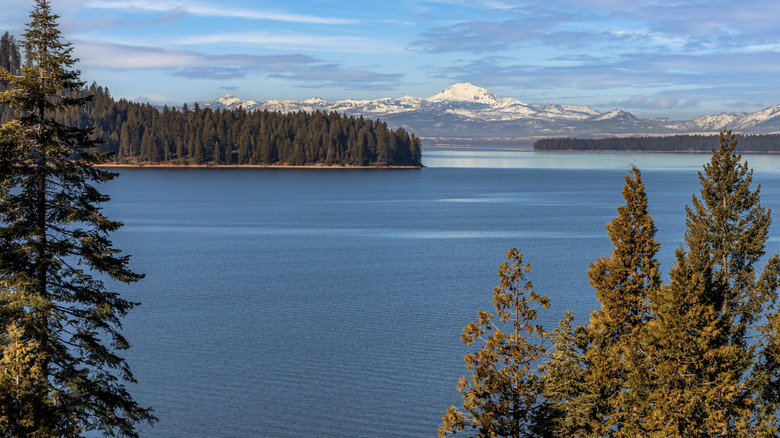 Lake Almanor in California, with Lassen Peak in the background