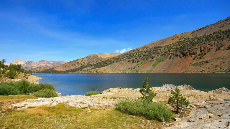 View from the shore of Saddlebag Lake in Inyo National Forest