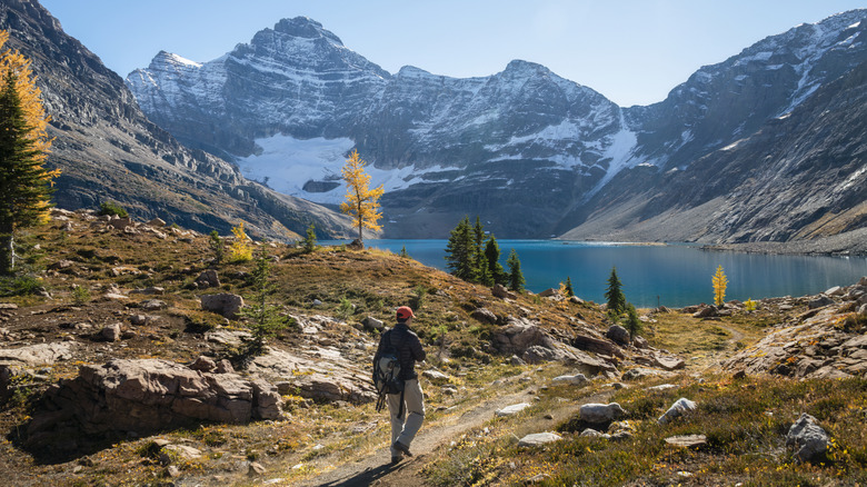 A hiker on the trail from Lake O'Hara to Lake McArthur, Yoho National Park, Canadian Rockies