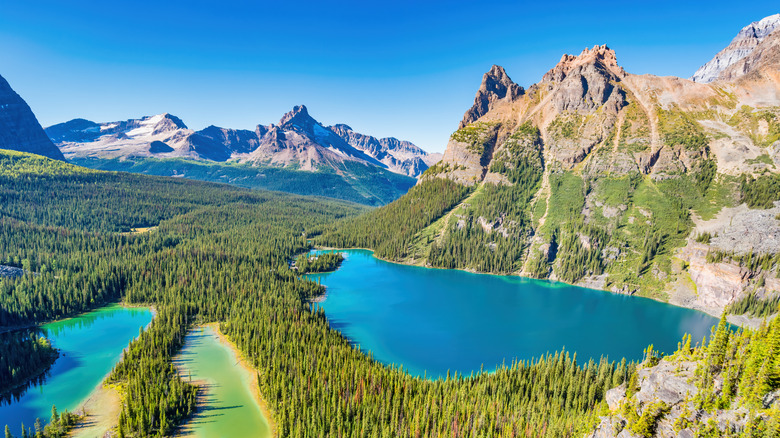 An elevated view of Lake O'Hara
