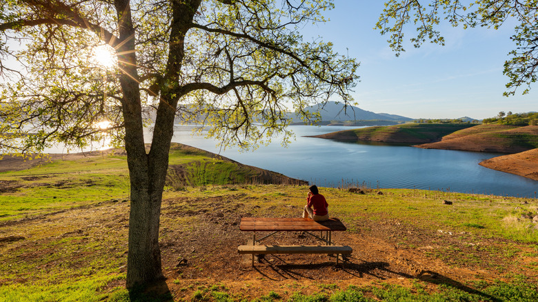 A person sitting at a picnic table perched on the golden hillsides overlooking San Luis Reservoir in California's Central Valley