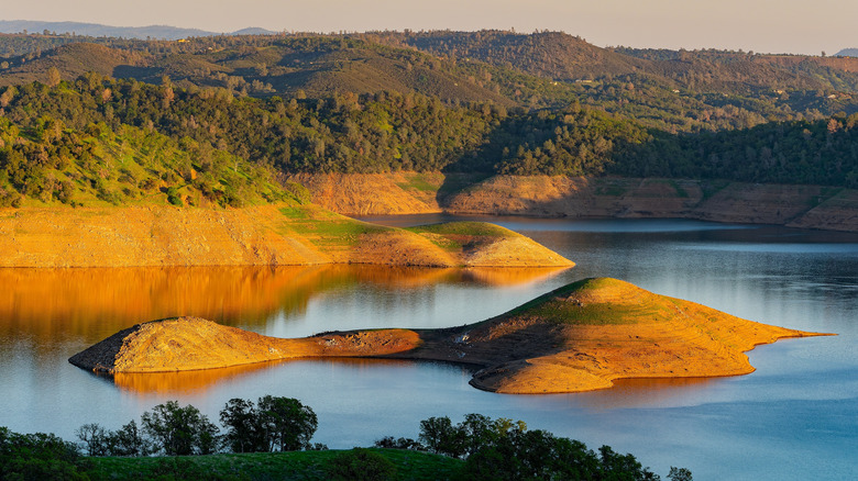 Yellow, sunlit grass on the hilly shore of San Luis Reservoir in Central California