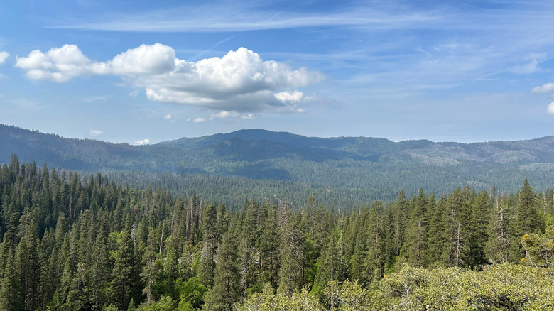 Forests and mountains form the view on the Chilnualna Falls Trail