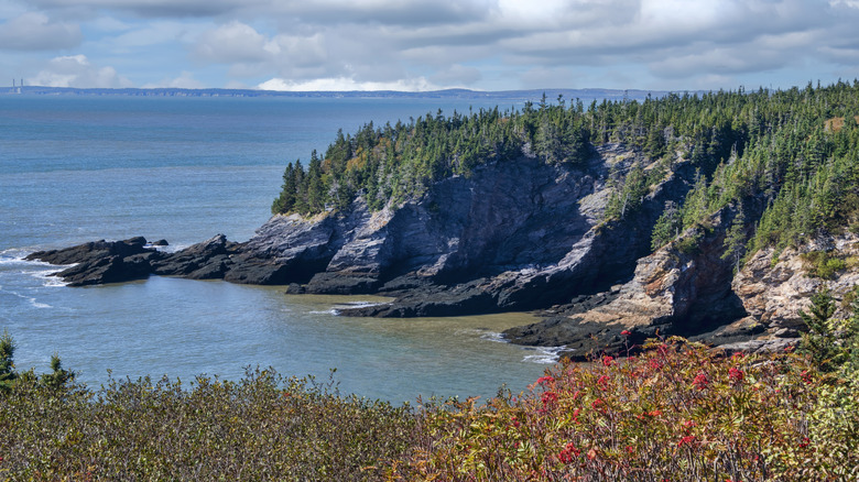 Cliffs dotted with forests and a slate blue ocean in Canada's province of New Brunswick