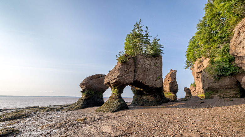 Hopewell Rocks in New Brunswick, Canada, stand out against a gray ocean and a big blue sky